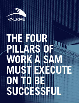 Four Pillars of Work a SAM Must Execute to be Successful